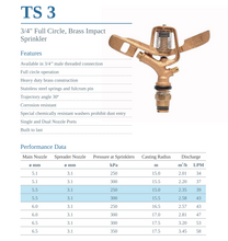 Load image into Gallery viewer, DripRack Brass Sprinkler Nozzle 3/4&quot; full circle TS3 30 Deg Trajectory
